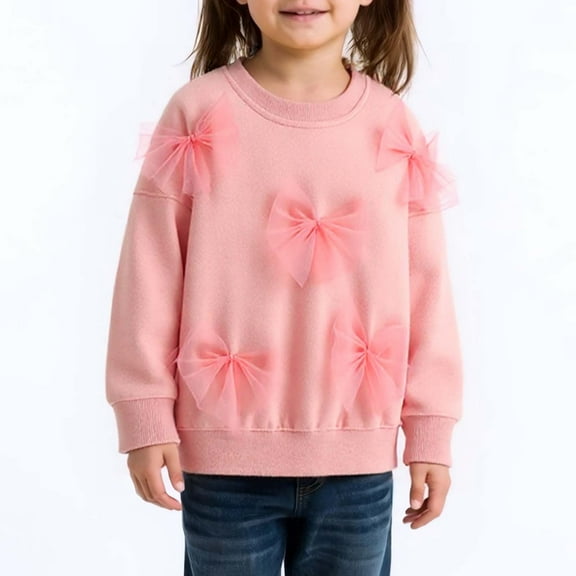 GBSYEWXS Toddler Girls Sweatshirt Size 2-3 Years Long Sleeve 3D Mesh Bow Print Pullover Sweater Relaxed Fit Outdoor Tops Pink
