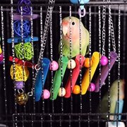 8 Packs Bird Swing Chewing Toys- Parrot Hammock Bell Toys Suitable for Small Parakeets, Cockatiels, Conures, Finches,Budgie,Macaws, Parrots