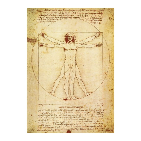 Vitruvian Man by Leonardo Da Vinci Poster - Proportions of the Human Figure Drawing - Fine Art Print poster
