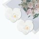 thumbnail image 5 of Ofertas Únicas 2 Pcs Clip de Pico de Pato Phalaenopsis Clips de Pelo de Perlas Falsas para Mujeres Blancas, 5 of 5