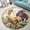 Rooster Farm Animal, variant on Round Area Rug, Ufo Alien Ufo Non-Slip Floor Mat, Soft Washable Carpet for Living Room Bedroom Decor 24 Inch