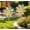Yellow, variant on Homellea Solar Windmill Light, Outdoor Garden Waterproof Spinning Windmills Stake Light, Lawn, Walkway, Patio, Flower Beds Outdoor Decorative Light(1PC,Blue)