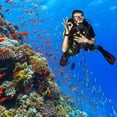 thumbnail image 3 of Aluminum Alloy Diving Lobster Stick Diving with Measurement Underwater Diving Rod 35cm Underwater Mixer Diving Pointer Rod, 3 of 7