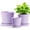Purple-1, variant on BUYMAX Ceramic Plant Pots, 4+5+6 Inch Pots for Indoor Plants, Flower Pots with Drainage Hole and Tray,Indoor/Outdoor Usage, Modern Style Garden Pots Set of 3 - Patina
