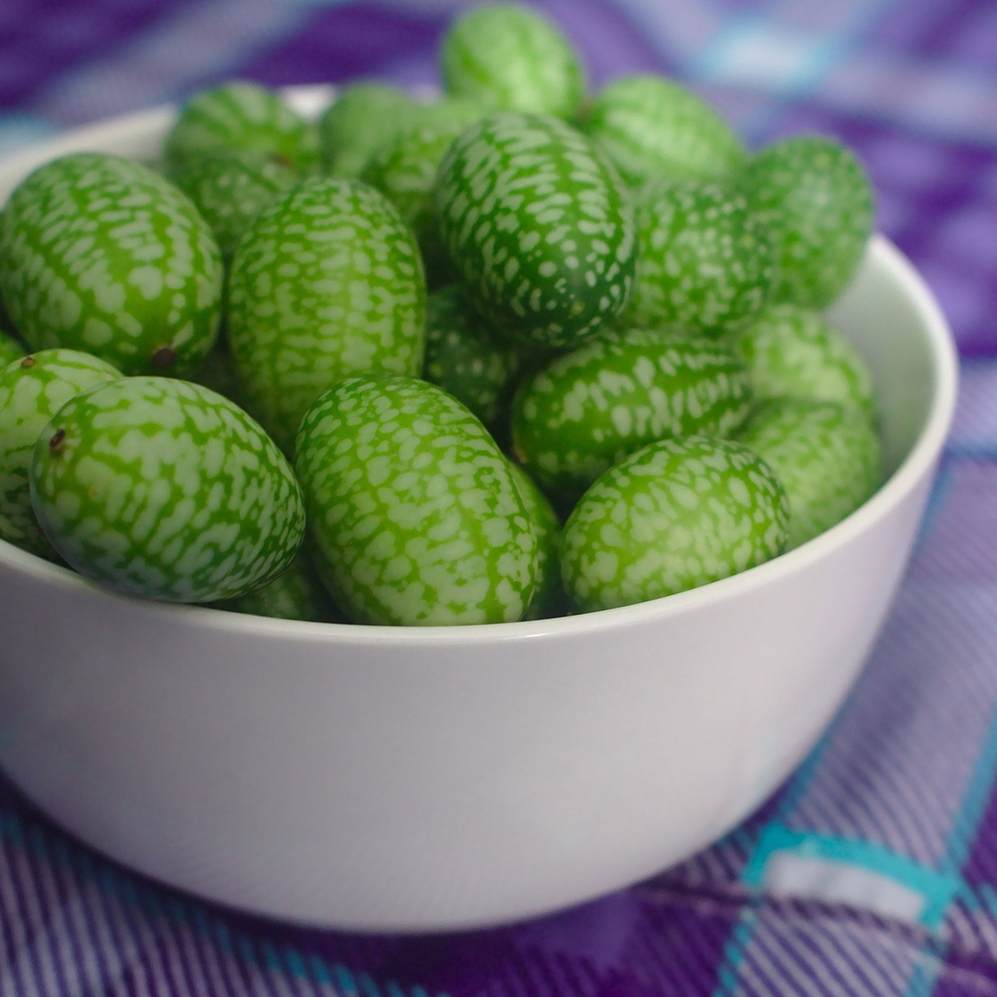 Cucumber Seeds West Indian Gherkin 1 g Packet 30 Seeds Cucumis sativus Farm & Garden