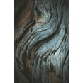 thumbnail image 2 of Mossholder, Tim 23x32 Black Ornate Wood Framed with Double Matting Museum Art Print Titled - Eucalyptus Texture, 2 of 4