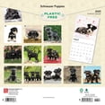 thumbnail image 2 of Schnauzer Puppies 2025 12 X 24 Inch Monthly Square Wall Cale, 2 of 9