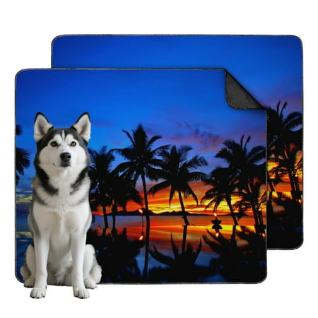 Non-Slip Indoor Dog Pads with Tropical Design Washable Reusable Training Mat with Secure Hold Bottom for Apartments (Hawaiian plant patterns 35 x41 )