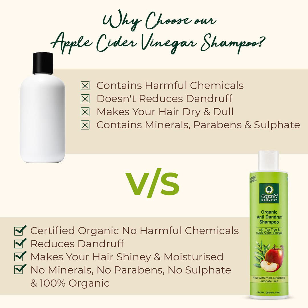 Organic Harvest Coffee Shampoo For Hair Fall Control & Hair Growth, Hair  Strengthening Shampoo for Women - 250ml 