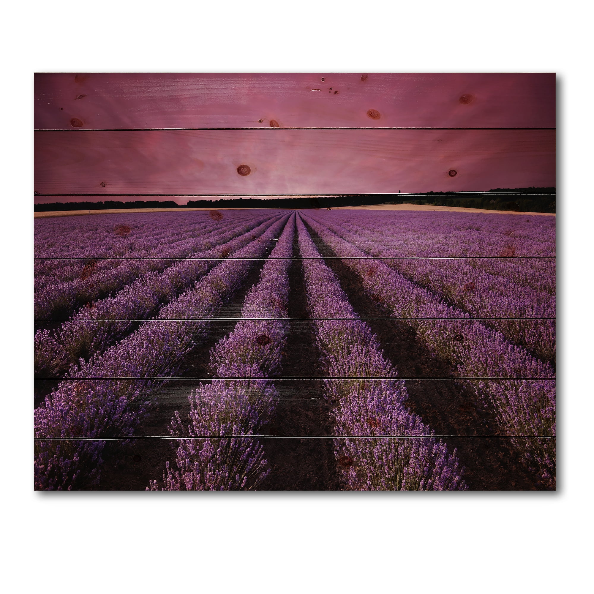 Designart 'Dramatic Clouds and Sunrise Over Lavender Field XI' Farmhouse Print on Natural Pine Wood