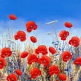 thumbnail image 2 of Mayes, Hilary 20x20 White Modern Wood Framed Museum Art Print Titled - Poppy Meadow II, 2 of 4