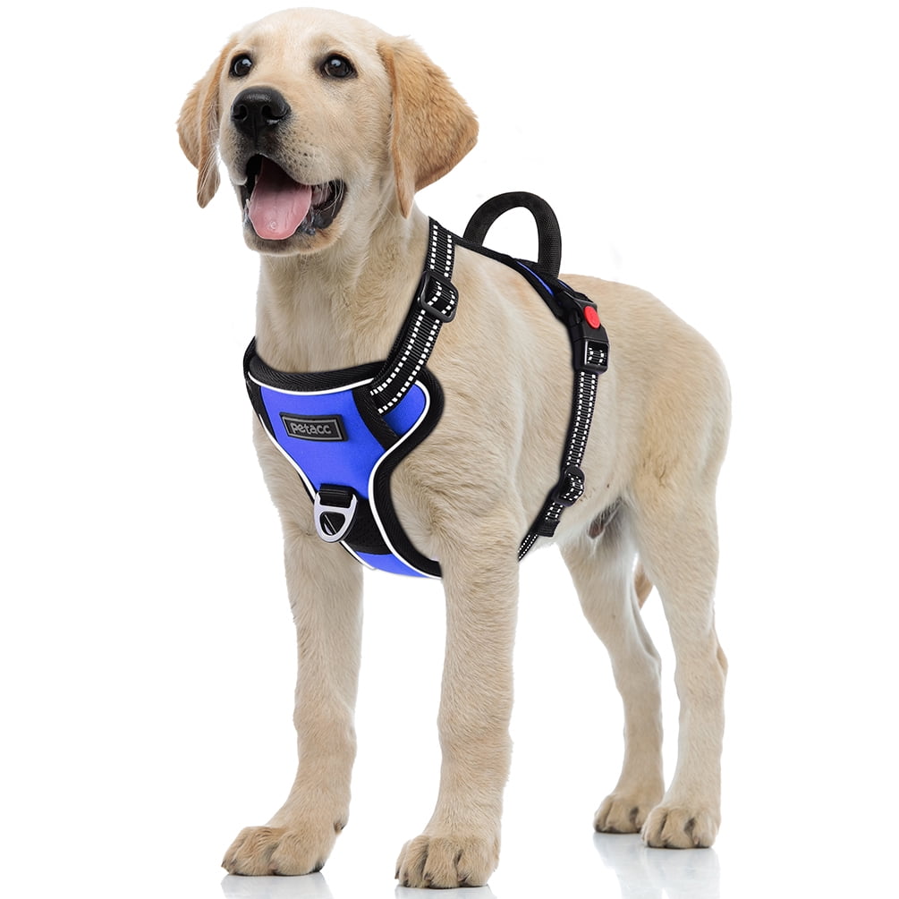 durable harness for dogs