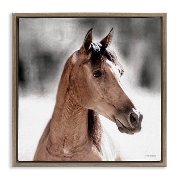 Stupell Industries Rustic Lodge Brown Foal in Snow Brown Floating Frame Canvas Art, 25 x 25, by Kari Brooks