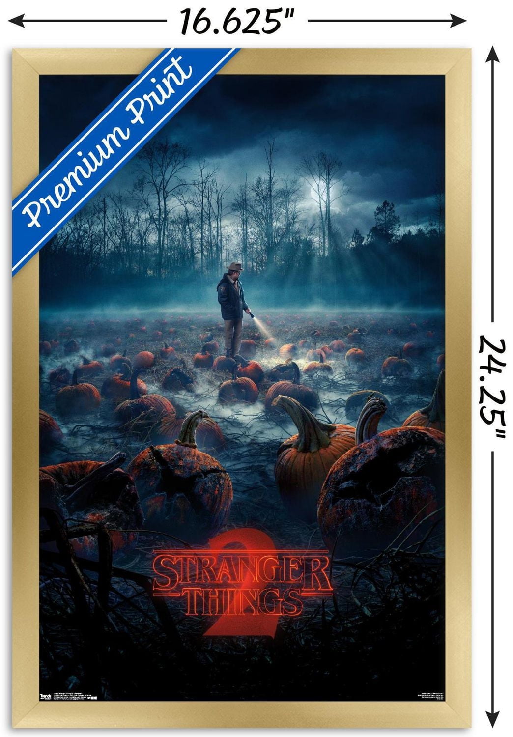 Netflix Stranger Things : Saison 2