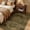 Brown/Dark Brown-3' X 5' (Rectangular), variant on Area Rugs 8'x10' Washable Non-slip Floral Vintage Distress Print Pattern Medallion Carpet For Living Room Bedroom Dining Dark Green Gray