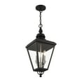 thumbnail image 4 of 27377-04-Livex Lighting-Adams - 3 Light Large Outdoor Pendant In Traditional Style-25.25 Inches Tall and 10.63 Inches Wide-Black/Brushed Nickel Finish, 4 of 14