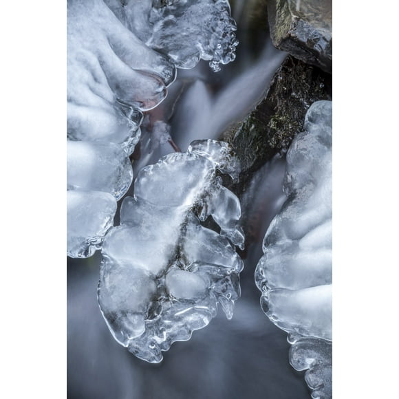 Close-up of ice on a brook in late-winter; Bedford, Nova Scotia, Canada by Irwin Barrett / Design Pics (12 x 19)