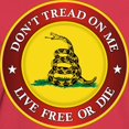 thumbnail image 3 of CafePress - DTOM Gadsden Flag (Logo) T Shirt - Women's Traditional Fit Dark T-Shirt, 3 of 4