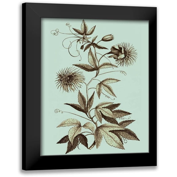 Munting, Abraham 12x14 Black Modern Framed Museum Art Print Titled - Imperial Munting III
