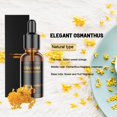 10ml 20ml Car Perfume Refill Air Freshener Natural Plant Oil Aroma