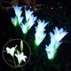thumbnail image 3 of Luces LED vibrantes para jardín para caminos de villas, patios y decoración de césped, flores de lirio solares a prueba de agua, 3 of 8