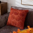 thumbnail image 6 of Pumpkin Fall Decorative Throw Pillow Covers 18x18, Set of 2 Caramel Soft Faux Fur Pillow Covers for Autumn Harvest, Fluffy Plush Accent Pillow Cases for Farmhouse Halloween Decor, 6 of 16