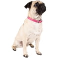 thumbnail image 7 of CUECUEPET Adjustable Dog Collar with Embellished Paw Bling Charms [Multiple Sizes], 7 of 7