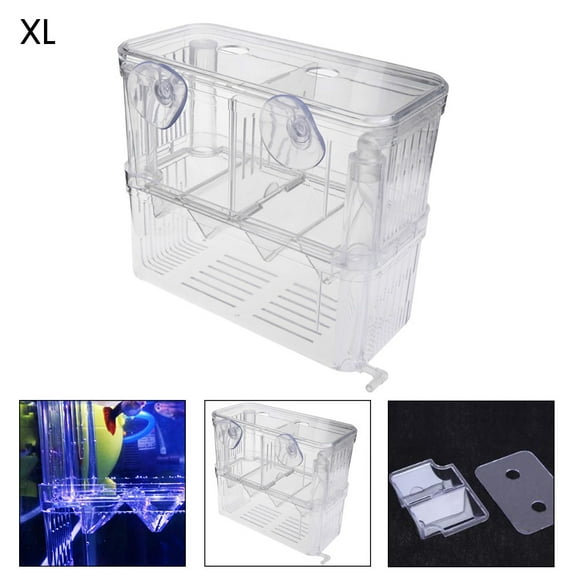 Acuario acrílico de doble capa para cría de peces, con red colgante para cría de alevines y crías. Caja de aislamiento para cría de peces.