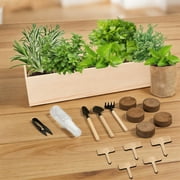 Bonsai Tree Kit for Beginners - Unique DIY Japanese Bonsai Trees,Crafts for Adults, Ideal Gardening Birthday Gift for Women & Men,Complete Indoor Plant Kit