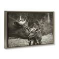 thumbnail image 3 of Stupell Industries Rustic Lodge Longhorn Kiss Photography Brown Floating Frame Canvas Art, 25 x 17, by Nathan Larson, 3 of 8