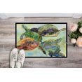 thumbnail image 2 of Carolines Treasures 8549MAT 18 x 27 in. Loggerhead Turtle Family Indoor Or Outdoor Mat, 2 of 4