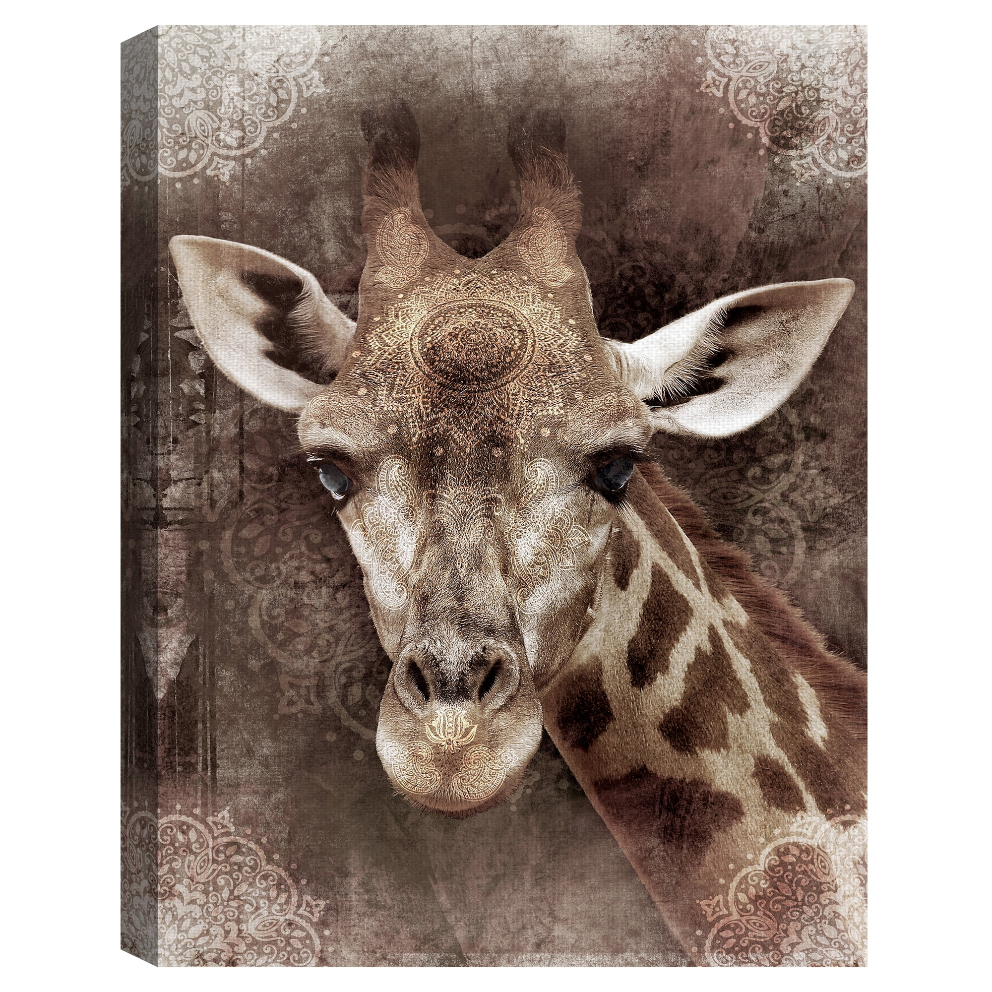 Masterpiece Art Gallery Global Giraffe I by Belle Maison Canvas Art Print 30" x 40"