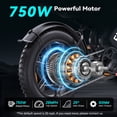 thumbnail image 3 of DTTZH F6 Electric Bike for Adults, 750W Motor, 60 Miles, 28 mph E Mountain Bike, 20" x 4" Fat Tire Off-Road Ebike, 48V 15.6Ah UL2849 Certified, 3 of 10