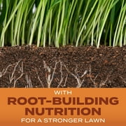 Scotts Turf Builder Grass Seed Bermudagrass, 8 lbs.