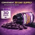 thumbnail image 5 of HERBOGANIC Elderberry Gummies, Daily Immune Support for Kids and Adults for overall health and wellness pack of 60, 5 of 8