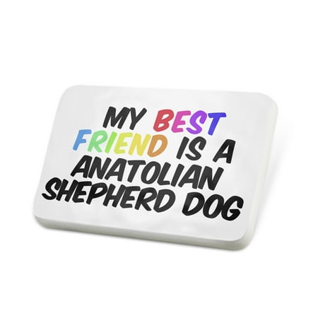 Porcelein Pin My best Friend a Anatolian Shepherd Dog from Turkey Lapel Badge – (Best Food For Anatolian Shepherd)