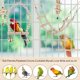 thumbnail image 1 of Bird Parrot Swing Toys, Masticar de pie Colgando Percha Hamaca Escalada Jaula de pájaros Juguetes para periquito, Periquito, Conure, Cacatúa, Mynah, Amor ZefeiWu 1327533452397, 1 of 1