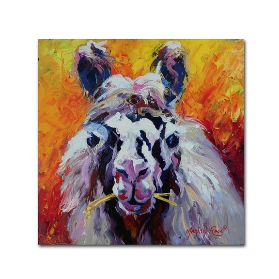 Trademark Fine Art 'Llama III' Canvas Art by Marion Rose