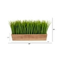 thumbnail image 2 of Nearly Natural 20in. Vanilla Grass Artificial Plant in Decorative Planter, 2 of 4