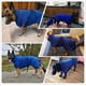 thumbnail image 5 of Bata de baño de microfibra para perros, lavable, pijama de secado rápido, toalla absorbente, abrigo para mascotas (S, azul), 5 of 5