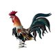 thumbnail image 3 of Escultura de gallo de metal para decoración de jardín, diseño de escena, paisaje de granja naranja, 3 of 9