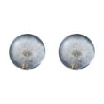 thumbnail image 4 of relayinert Boule de Cristal Portable avec Compagnon de Voyage de Fleur pour la Sérénité Cadeau Résine Pissenlits 7cm 2Set, 4 of 6