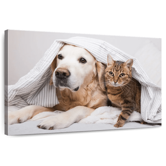 Elephant Stock Cozy Dog And Cat Wall Art - Horizontal Canvas Wall Art - Living Room Wall Decor - Animal Canvas - Gray And Beige Decor - 12" x 8"