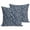 Blue, variant on Throw Pillow Covers 18x18 Inch Set of 2 Dandelion Flower Decorative Pillows Cushion Case Soft Square Pillowcases Daisy Floral Leaves Navy Blue Purple Throw Pillows for Couch Sofa Bed Chair Decor