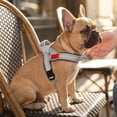 thumbnail image 5 of Dog Harness No Pull, TOUMENY Breathable Adjustable Soft Mesh Dog Vest Harness, Reflective Outdoor Walking Chest Strap for Small Medium Dogs Training, Gray, 5 of 6
