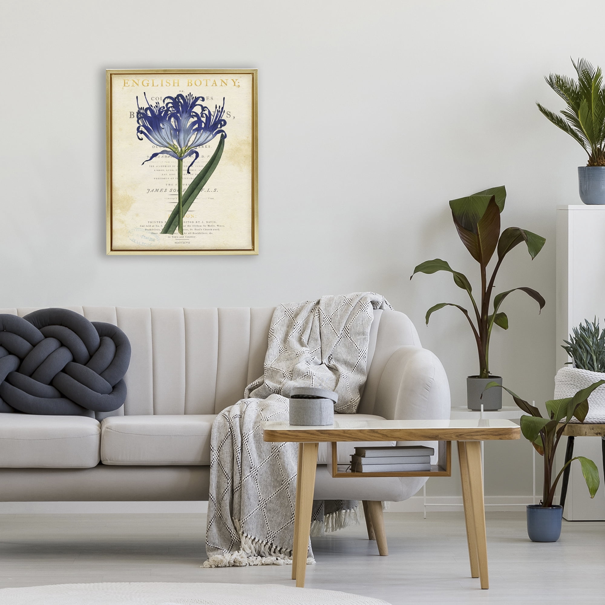 Stupell Industries English Botany Blue Floral Gold Framed Floater Canvas Wall Art, design by Susan Arnot