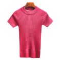 thumbnail image 1 of Suéter de mujer, camiseta sin mangas, camiseta de punto, camisetas cortas de manga corta, jersey de invierno ajustado con corpiño para mujer Yuarrent FS6608-04, 1 of 5