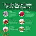 thumbnail image 4 of Natures Craft Liver Cleanse Detox & Repair with Milk Thistle Supplement, Lemon, 60 Gummies, 4 of 8
