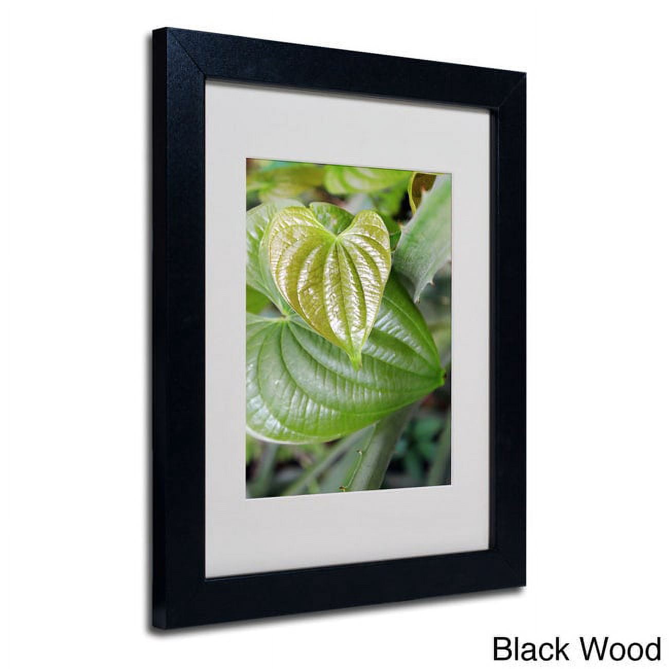 Trademark Fine Art "Natural Hearts" Matted Framed Art by Patty Tuggle, Black Frame