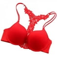 thumbnail image 3 of POINTERTECK Women‘s Front Closure Push Up Lace Bra Hollow Back Lady Underwear, 3 of 5
